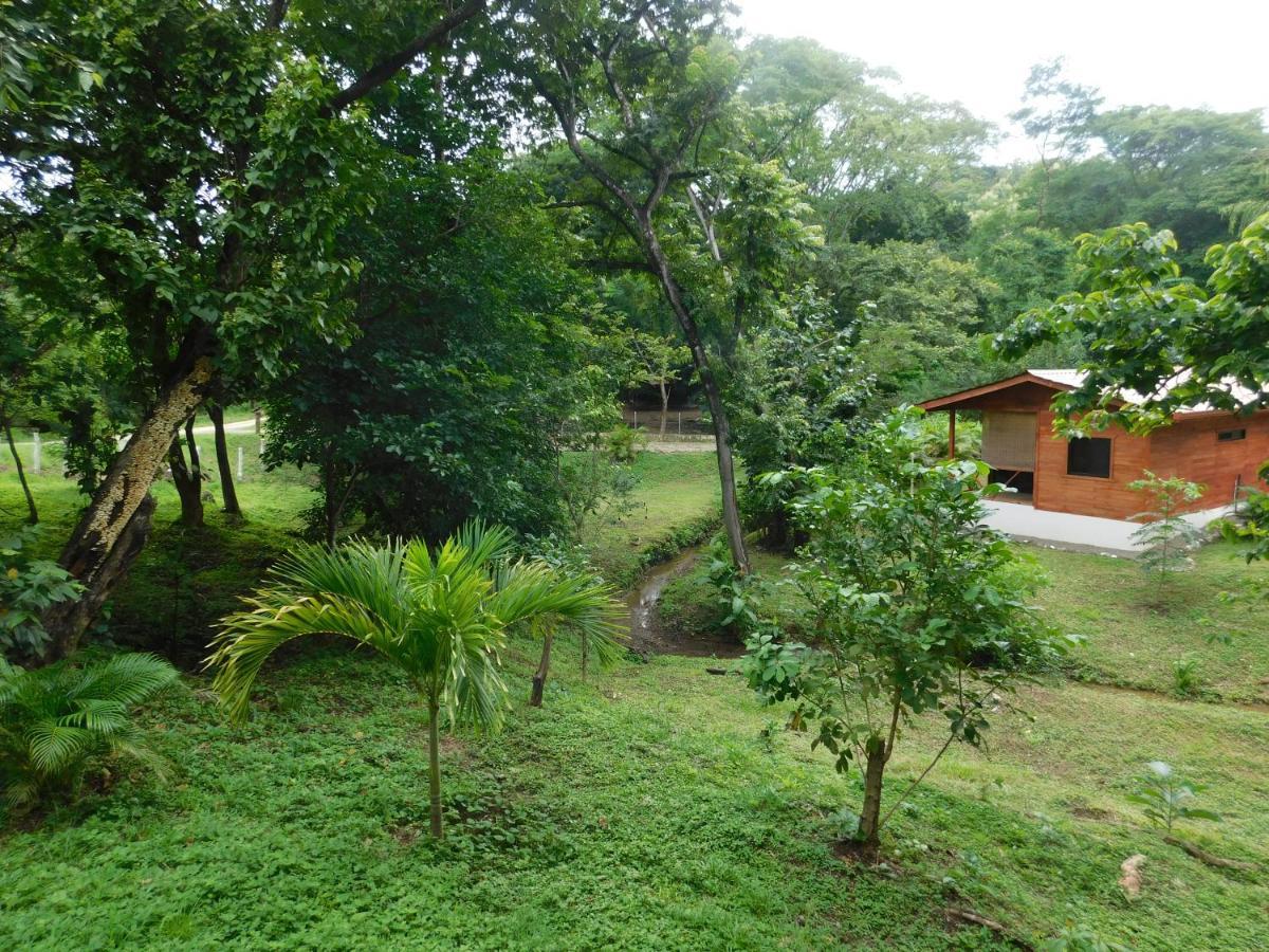 Villasjungle 2 Samara Bagian luar foto