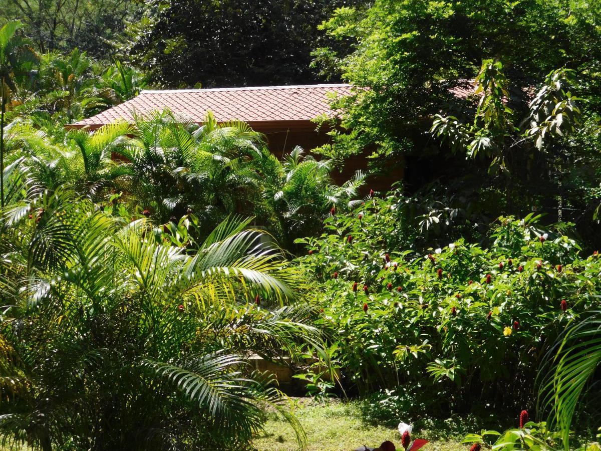Villasjungle 2 Samara Bagian luar foto